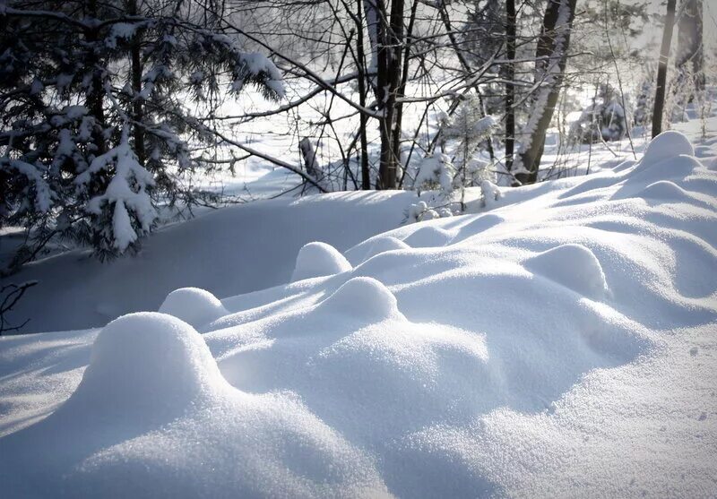 Сугробы. Зима много снега. Большие сугробы снега. Снежные сугробы. Сугроб.
