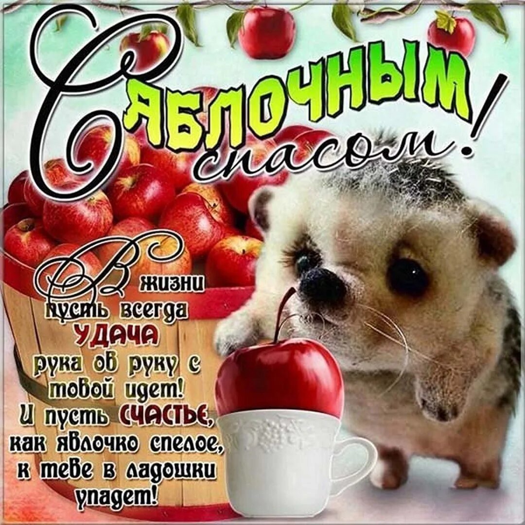 Яблочный спас прикольные картинки. 19 августа яблочный спас картинки. Яблочный спас поздравления. Яблочный спас 2022. Яблочный спас картинки приколы.