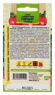 Характеристика томатов семена алтая