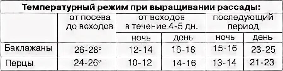 При какой температуре выращивать рассаду капусты. Температурный график для выращивания рассады томатов. Температурные режимы выращивания рассады перца. Выращивание рассады томатов температурный режим. Температурный режим для рассады томатов и перцев.