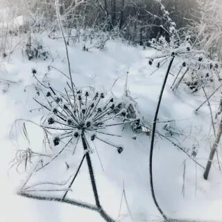Ничего зима