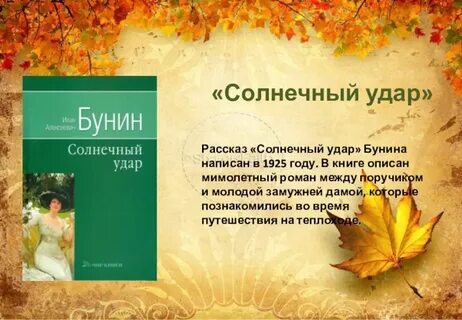 Краткое содержание солнечный