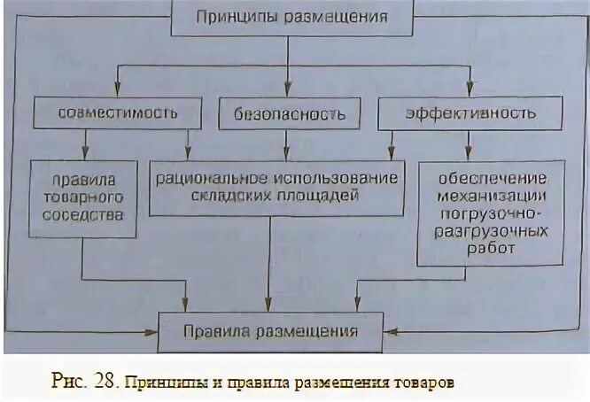 Схема принципы размещения. Принципы размещения складов. режимы хранения товаров.