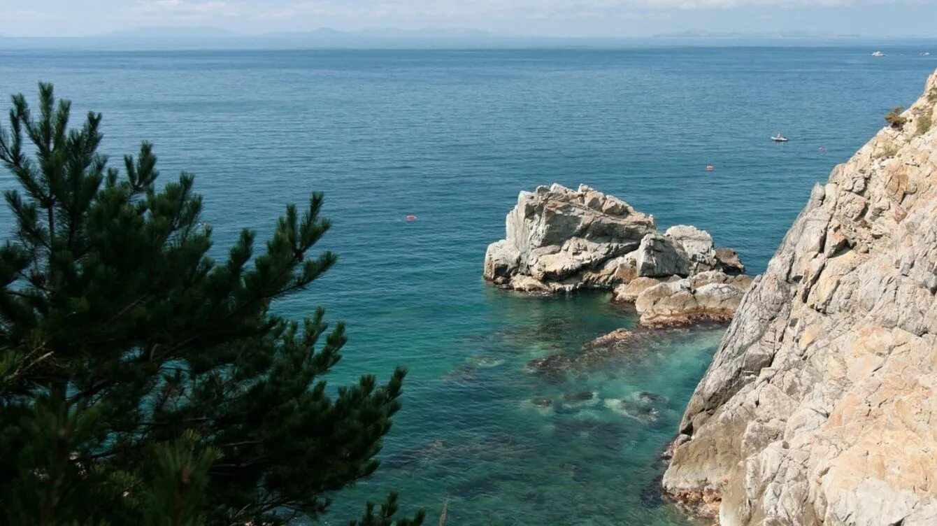 Ветер на море. Берег моря с ветром. Японское море приморский край. Владивосток черное море. Остров русский приморского края двфу.