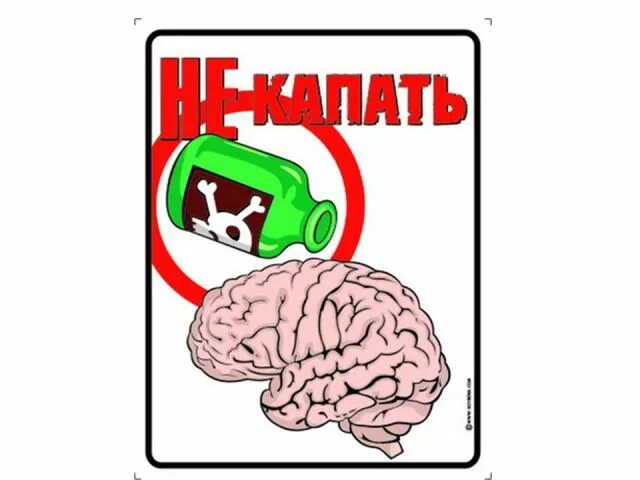 Песню хватит выносить мне мозг. Предупреждение шутка. мозг запрет. мозг аватарка.