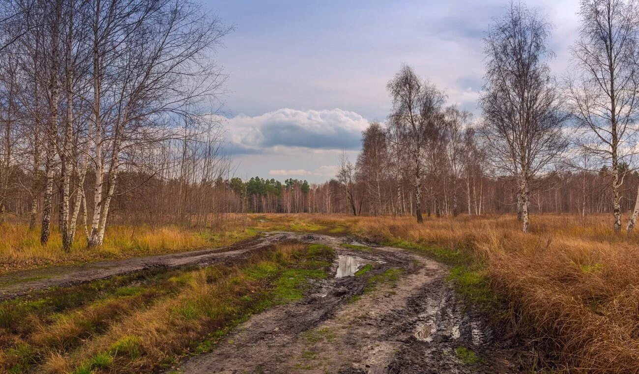 Александров дороги россии. Русская дорога. Сельская дорога в России. Дороги России. Осень Россия дорога деревня.