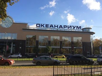 Планета нептун ул марата 86 фото