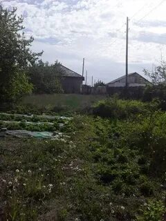 Поселок восточный семей