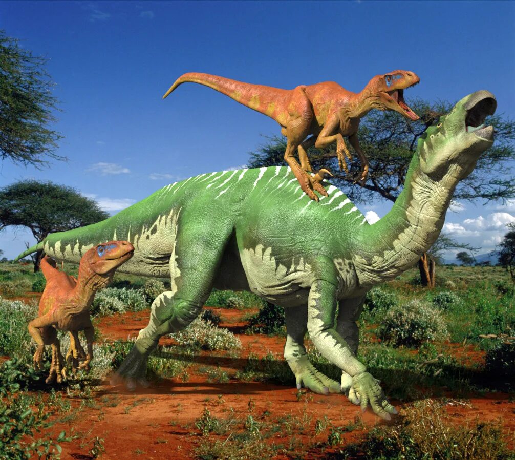 Динозавр форма. "Дейноних". Дейноних динозавр. Тенонтозавр динозавр. Наземные динозавры.