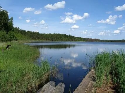 Оз псковская область