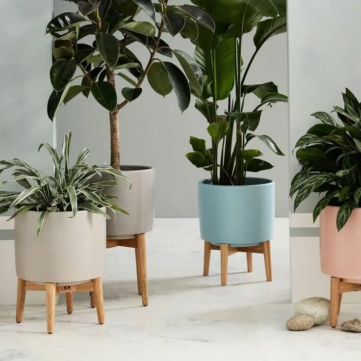 Plant series. Кашпо МИД сенчури. West Elm горшки. Кашпо в стиле МИД сенчури. Цветок напольный.