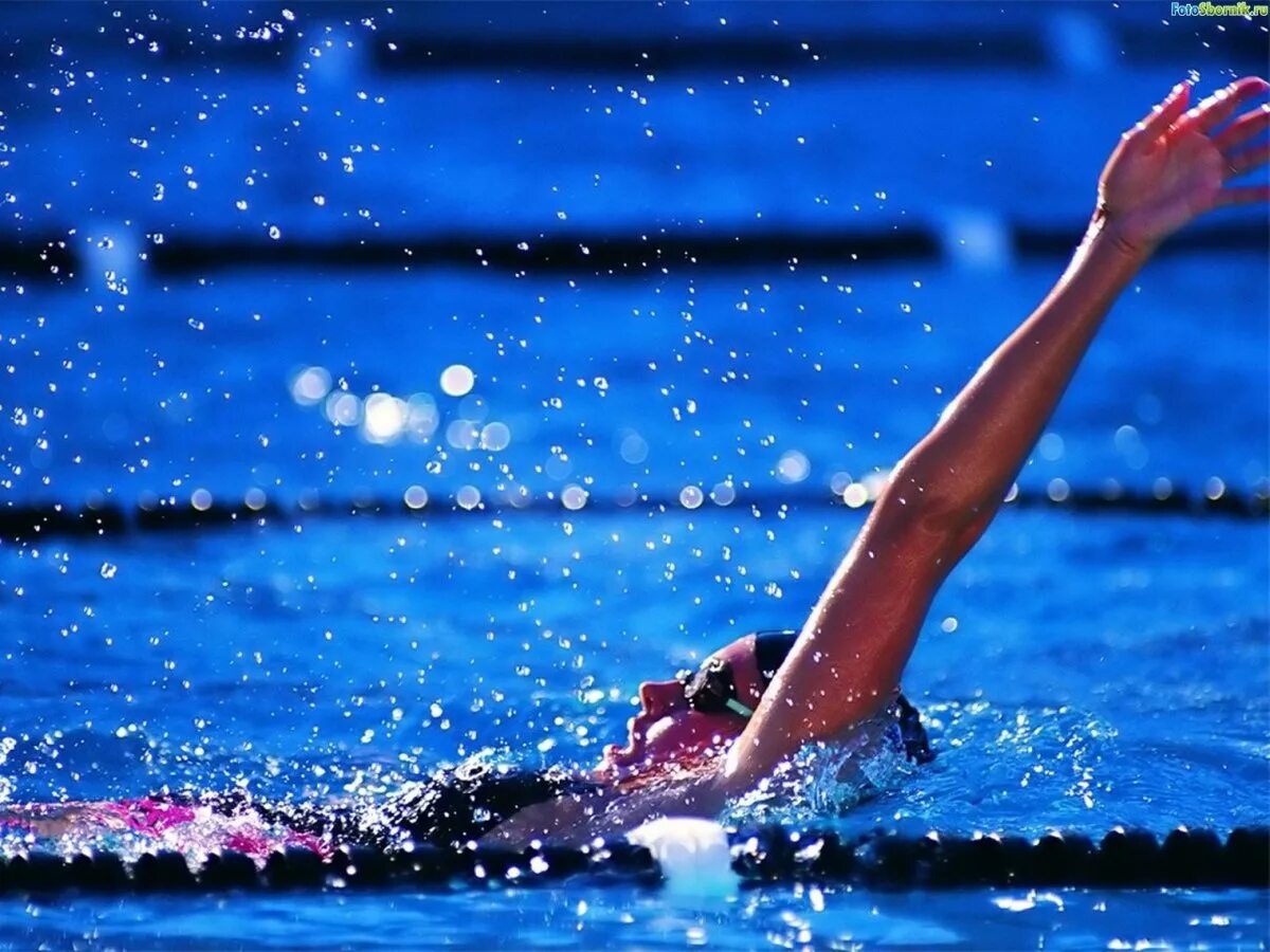 увлечения бассейн. плавание (спорт). увлечения бассейн. стили плавания брасс баттерфляй вольный. плавание (спорт).