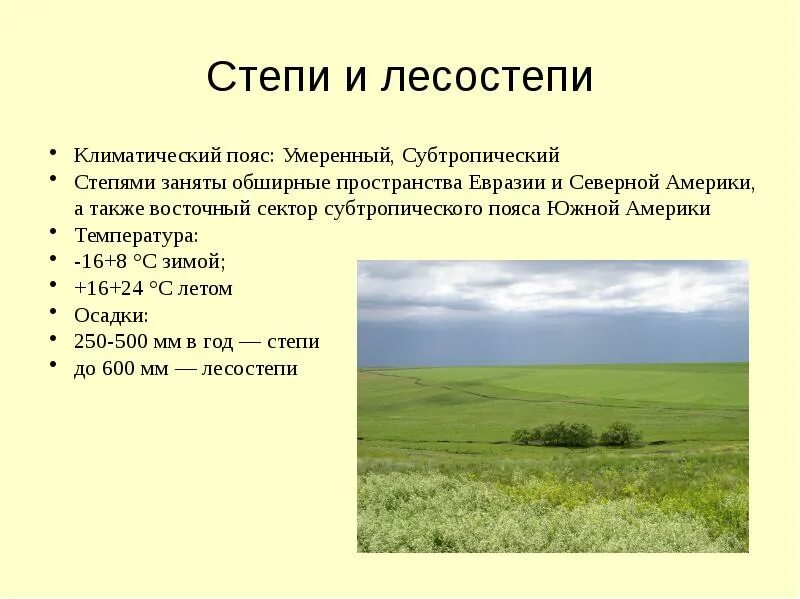 Природные зоны степи почва. Климатический пояс лесостепи и степи в России. Зона лесостепей и степей климатический пояс. Климатические пояс стери. Климатически йпояс степ.