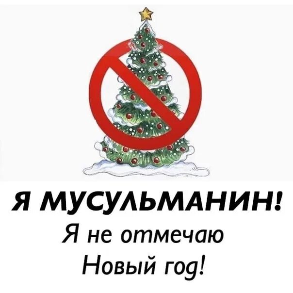 Фотографии со страницы Эли - 1 фотография ВКонтакте