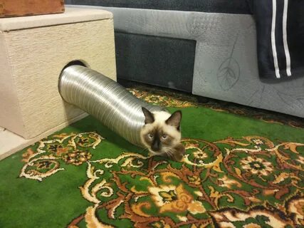 Там труба