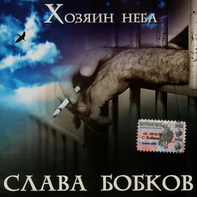 Хозяин неба. Хозяин неба. Хозяин неба слава бобков. Хозяин неба. Слава бобков обложка.