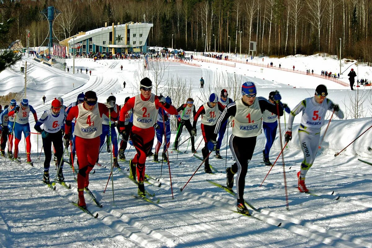 Лыжные гонки среди любителей. Первенство Москвы по лыжам.