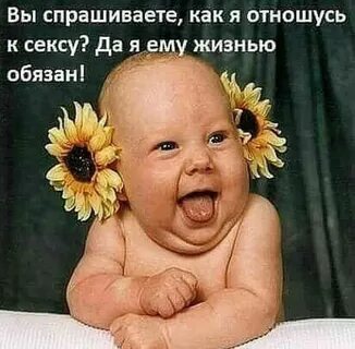 Настроение картинки прикольные смешные ржачные