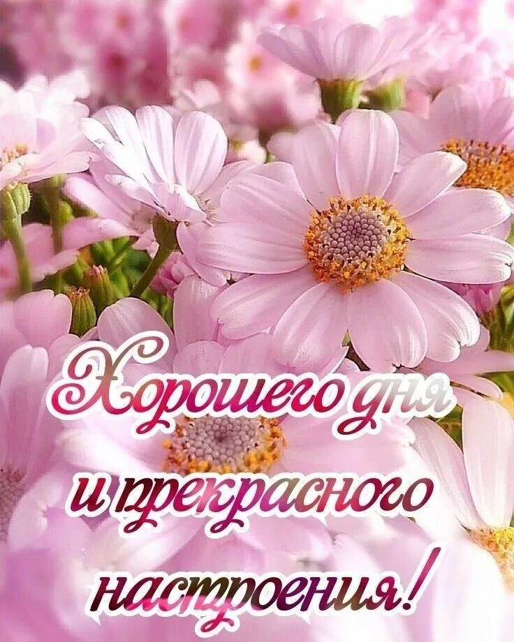 Картинка с солнышком и пожеланием хорошего дня