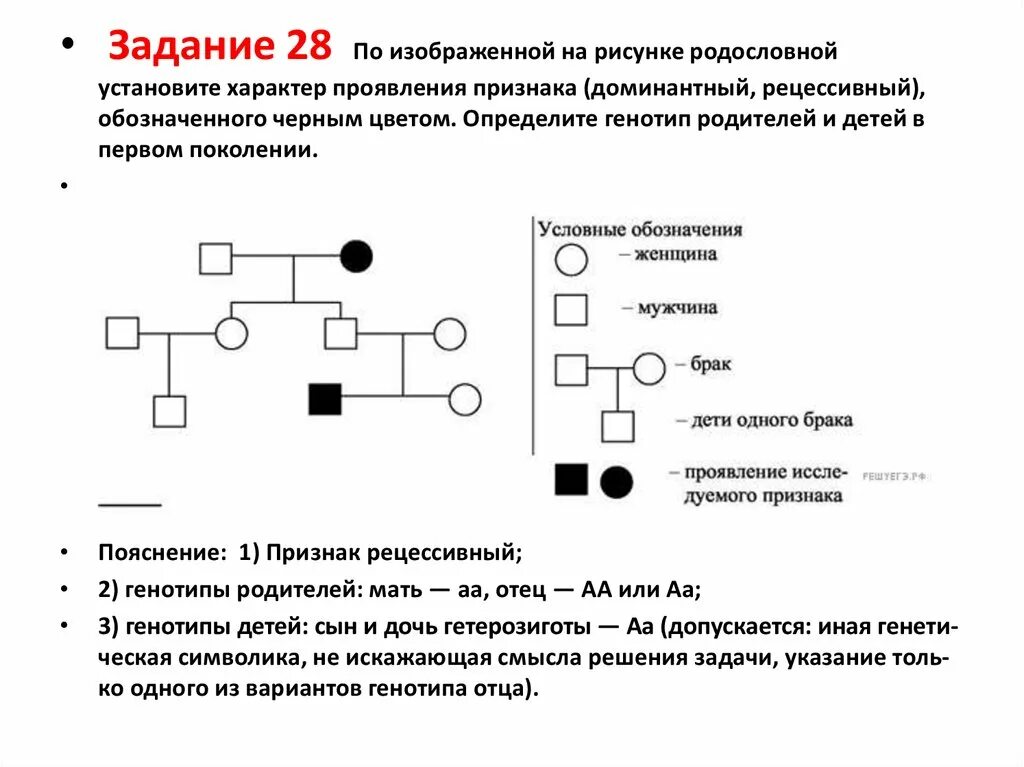 По изображенной на рисунке родословной определите. Решение генетических задач и составление родословных. Практическая работа составление родословной. Задачи на анализ родословной с решением. Составление родословных схем с указанием признаков.