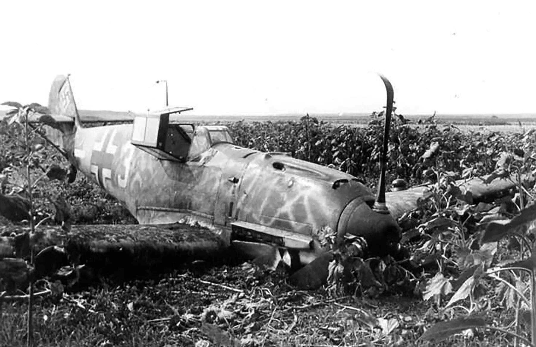 Сбит второй самолет. Самолёт Мессершмитт 109 на Восточном фронте. Подбитый БФ 109.