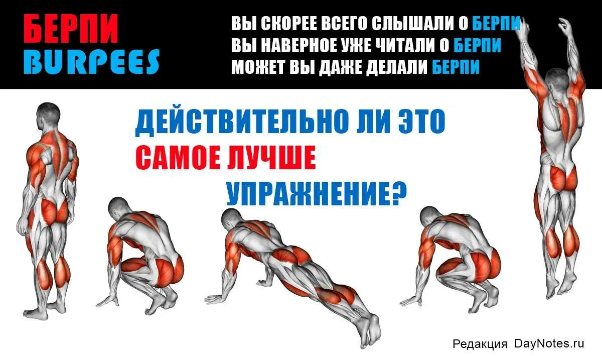 Берпи график тренировок. Челлендж берпи 30 дней. Челлендж берпи. Энергозатратность берпи. Бурпи план тренировок.