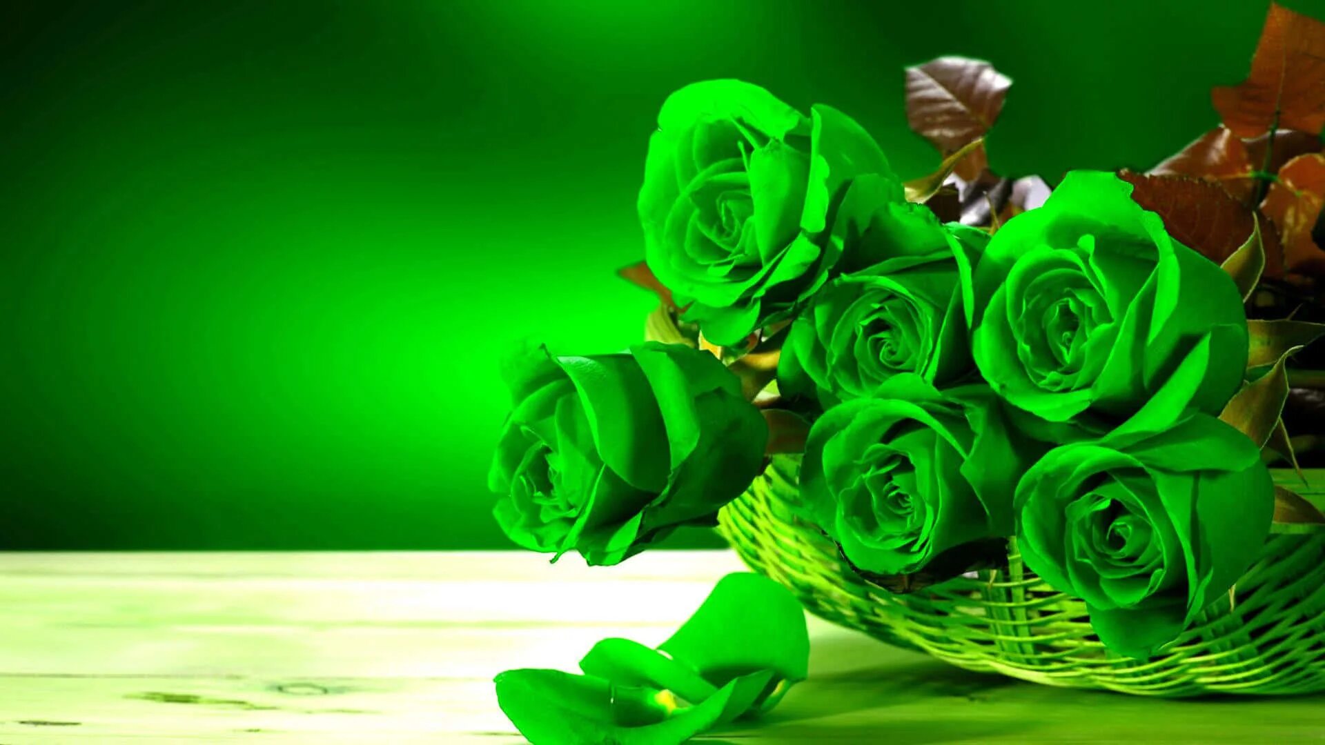 Зеленые розы. Зеленый цвет. Красивый зеленый. Букет зеленых роз. Is green and beautiful