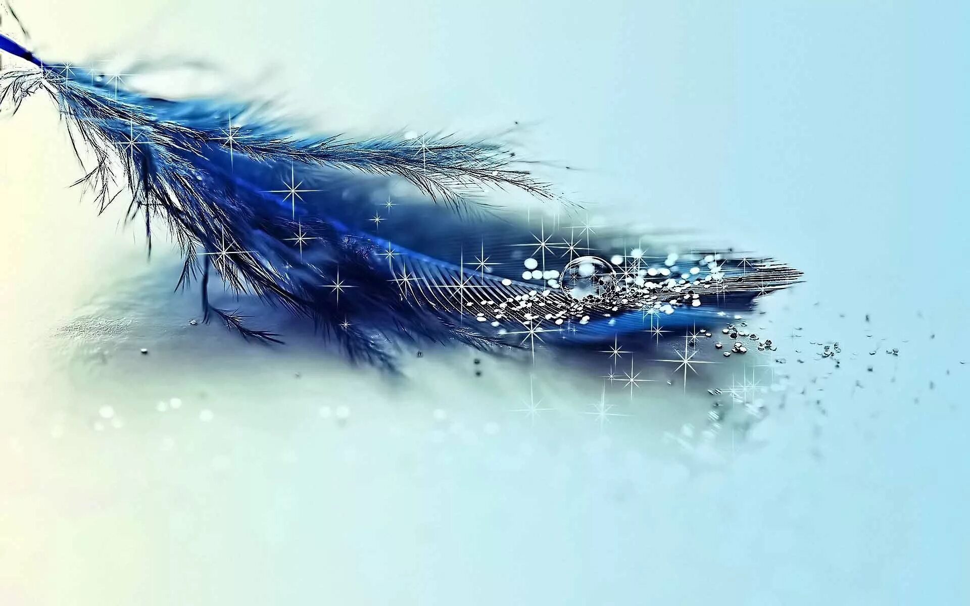 Красивое перо
