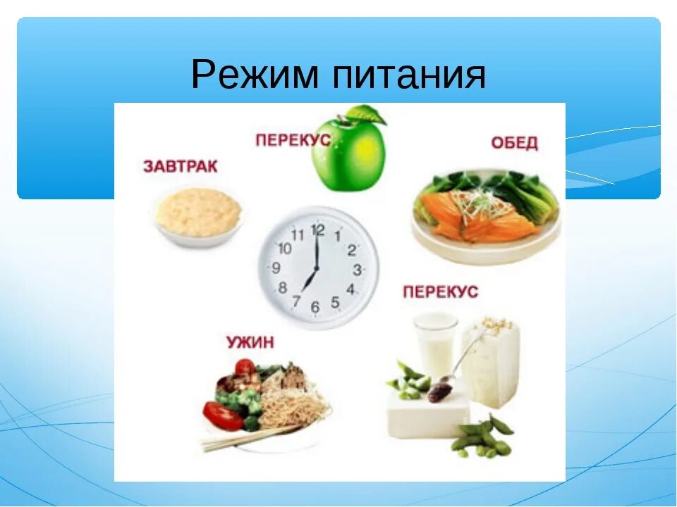 Что надо есть в течении дня. Режим питания. Правильное питание распорядок дня. Правильное питание режим питания. График питания.