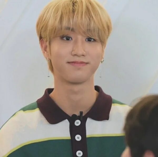 Типы личности bts mbti. Хан джисон. Джисон stray kids. Kwont. Тип личности хана джисона.