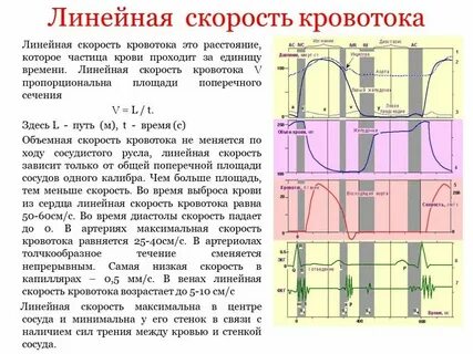 Суммарная площадь поперечного сечения