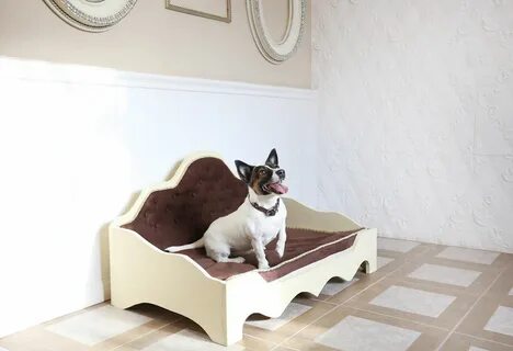 Pet hotel premium