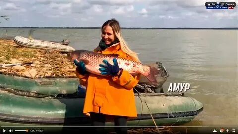 Погода в котельниково волгоградской на 14 дней