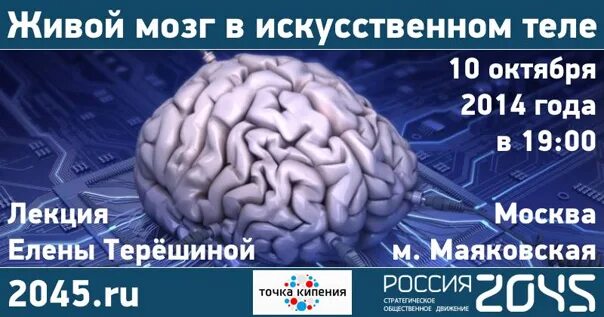 Сколько может прожить мозг. Живой мозг Марвел. Живой мозг книга.