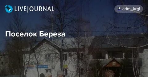 Квартиры поселке береза