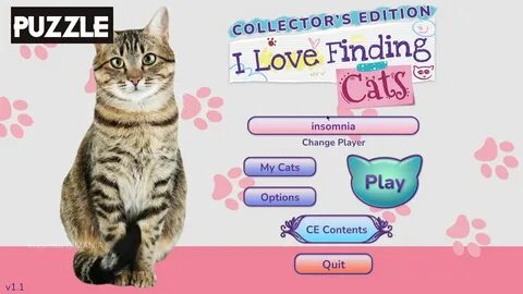 Игра найди своего кота