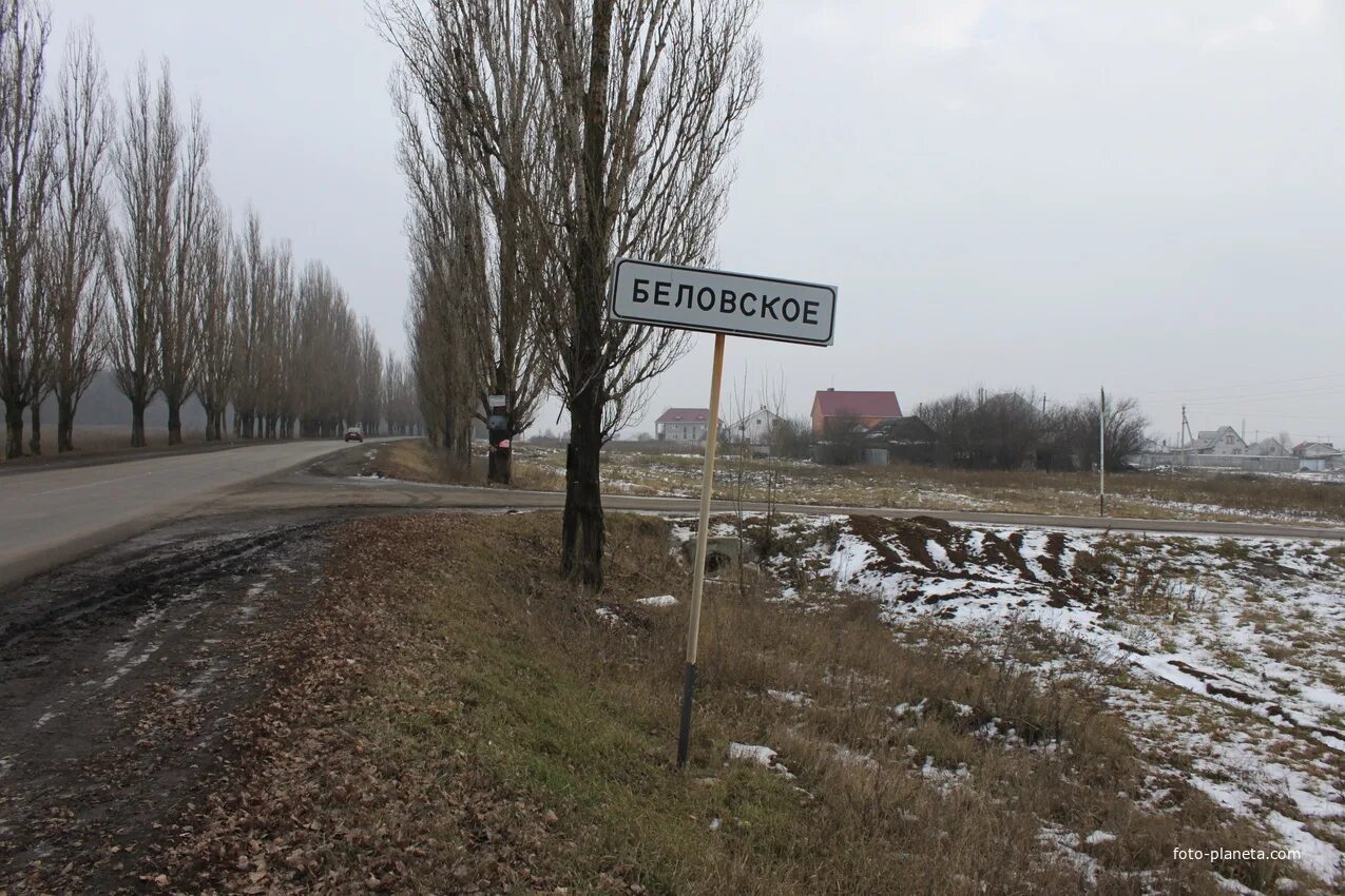 Село Беловское Белгородский район. С Беловское Белгородский район карта. Беловский лес Белгород. Беловский район Курская область.