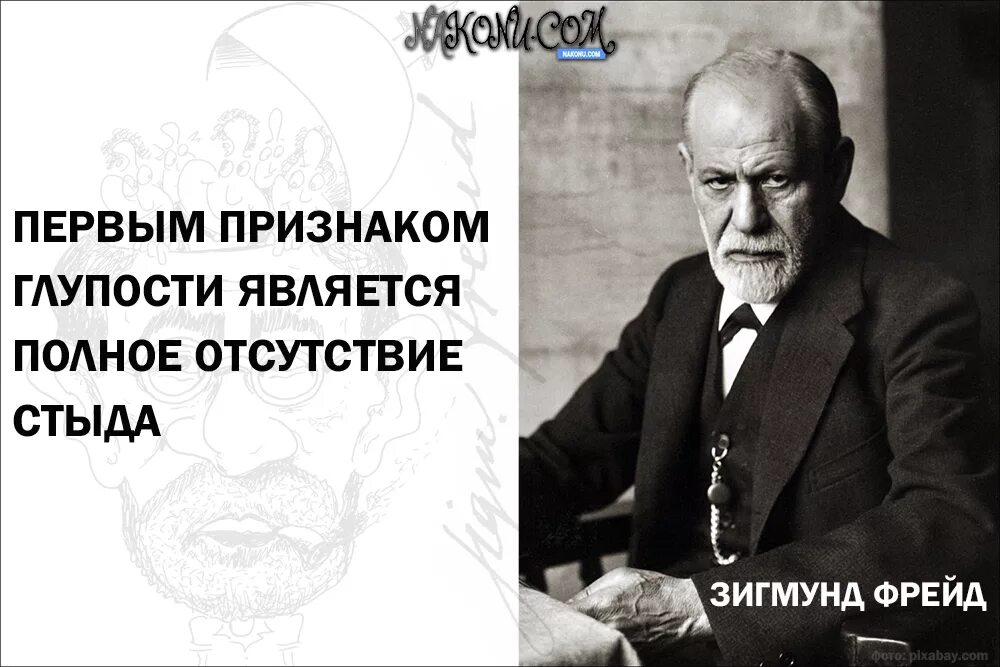 Фразы Фрейда. Высказывания Фрейда о жизни. Фрейд цитаты. Признаки стыда