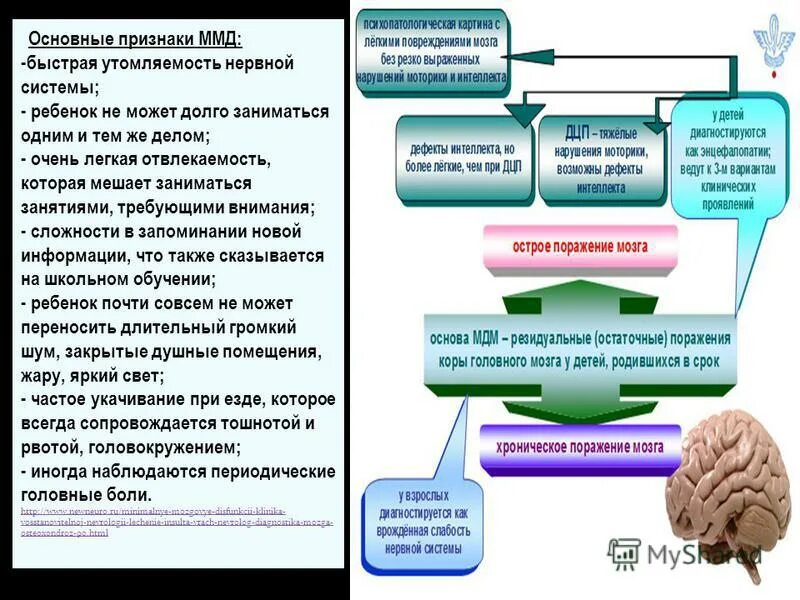 Признаки дисфункции мозга