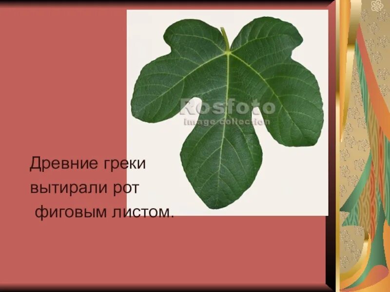 Что скрывается за фиговым листом 6
