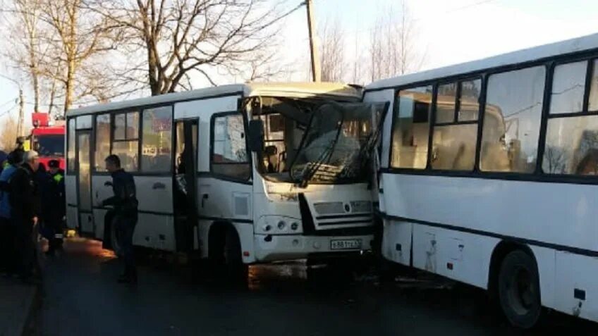 Авария в СПБ В Павловске с участием автобуса. Маршрутка 529. Авария в Павловске СПБ сейчас. В Гатчине столкнулись два автобуса.