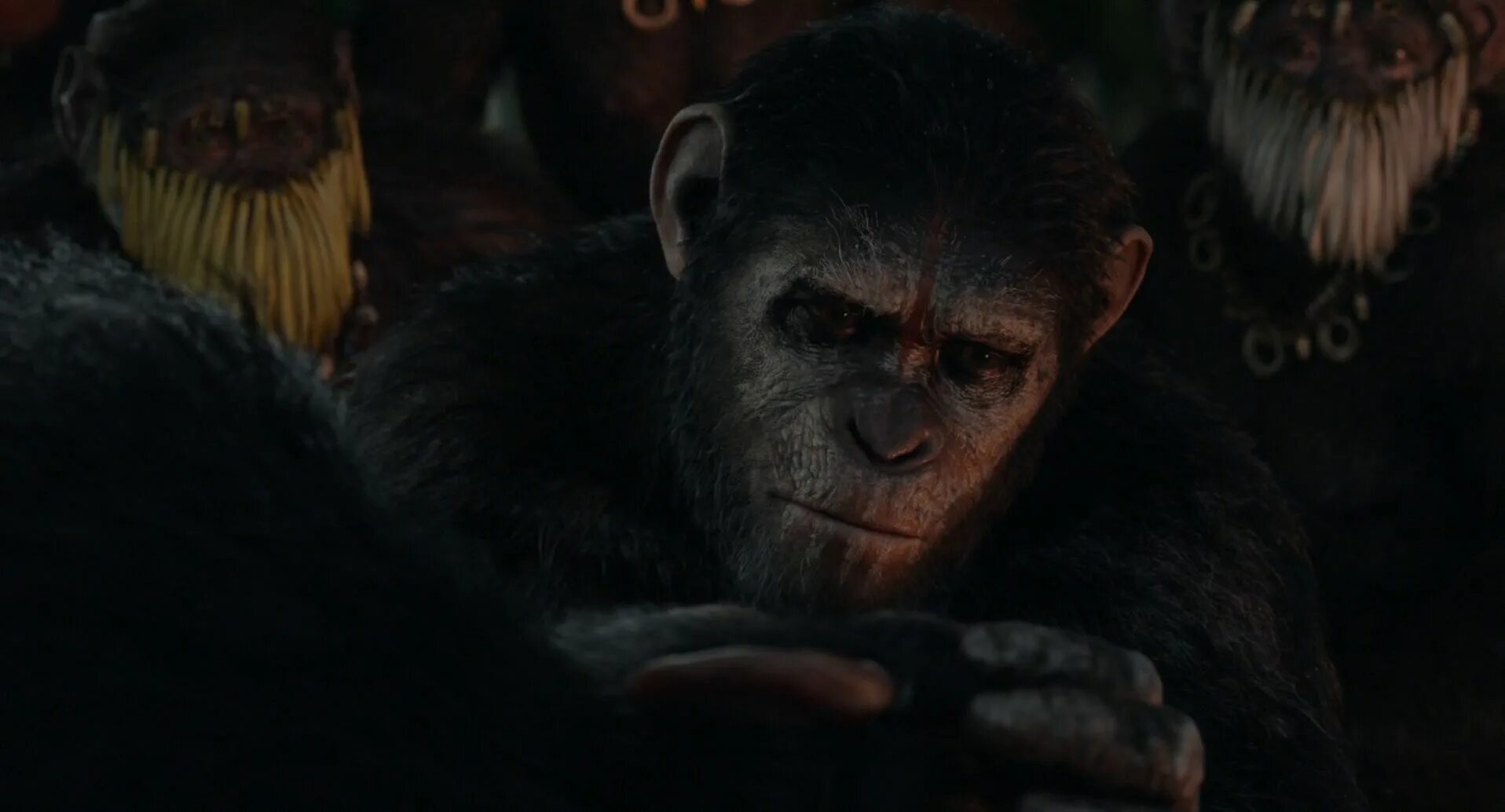 Часть обезьян 4. Восстание планеты обезьян 2. Восстание планеты обезьян 2014.
