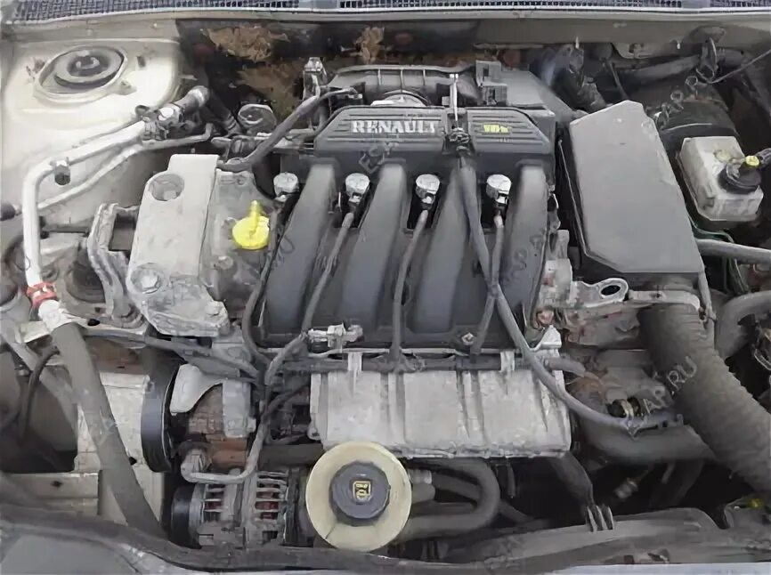 Мойка двигателя - Renault Laguna II, 2 л, 2003 года мойка DRIVE2