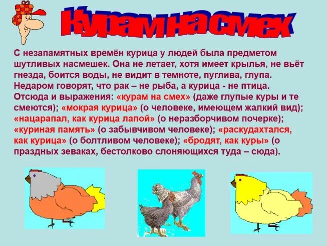 Почему курица называется курицей. Почему курицы не летают. курица летает. почему куры не летают. куриная память.