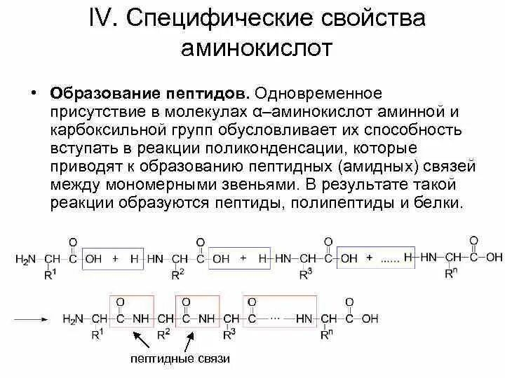 Реакция образования пептидов. Специфические свойства аминокислот. Образование пептидов из аминокислот. Специфические свойства аминокислот образование пептидов. Полипептиды образуются в результате поликонденсации