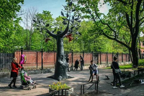 Дерево желаний в кронштадте