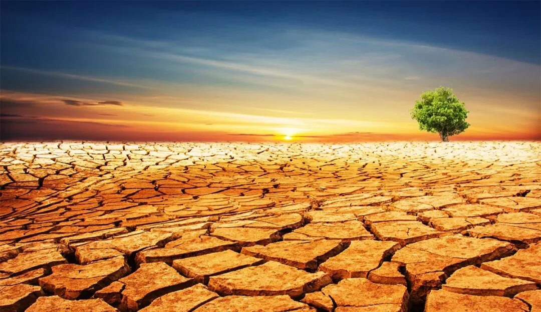 Опустынивание в бразилии. Засушливое очень жаркое. Такары почва. Засушливая почва. Сено засуха.