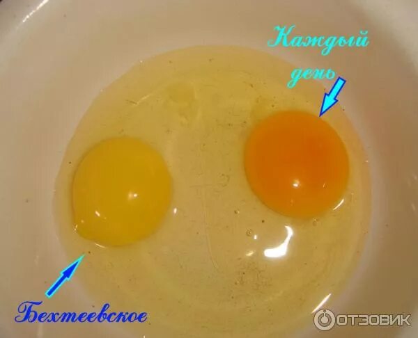 Желток как пишется. Желток как пишется. Желток как пишется. Желток как пишется. Блюда из яиц яичница глазунья.