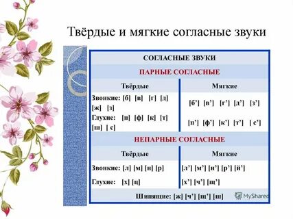 Мягкая парная или непарная