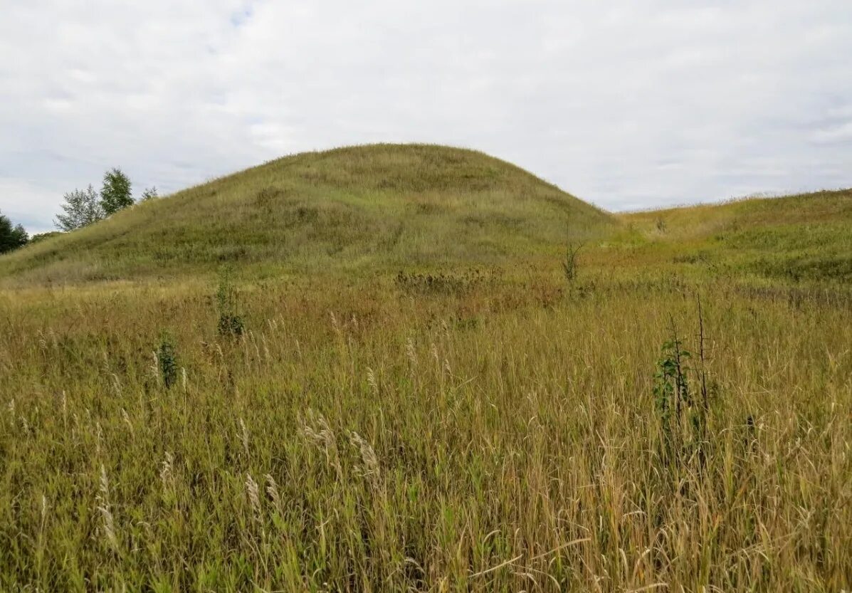 Городище орловская область. Городище википедия. Старица кремль. Белгород городище. Сарматское городище.
